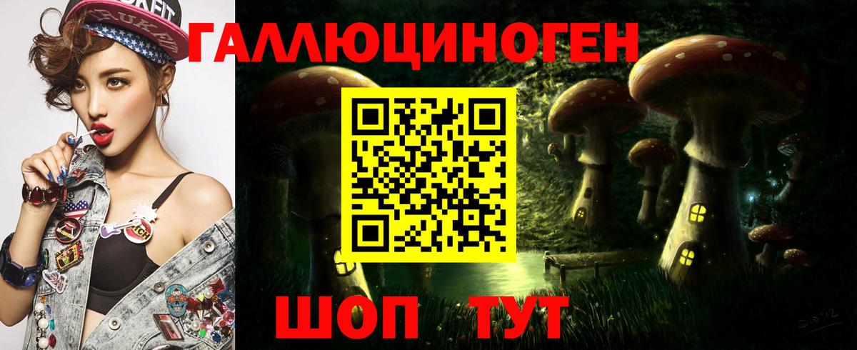 Псилоцибиновые грибы Cubensis  Вход с VPN  Гатчина 
